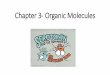 Chapter 3- Organic Molecules - Weeblyhavelockapbiology.weebly.com/uploads/5/5/1/3/55131839/... · 2015-08-31 · Chapter 3- Organic Molecules. CHNOPS ... of the weight of all living