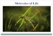 Molecules of Life - websites.rcc.eduwebsites.rcc.edu/.../08/Chapter-3-Molecules-of-Life-2.pdf · 2017-09-04 · Nucleic Acids What are the molecules of life? Organic Compounds 