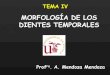 MORFOLOGÍA DE LOS DIENTES TEMPORALESalojamientos.us.es/opediatria/ppt/t4.pdf · caracterÍsticas generales de los dientes temporales