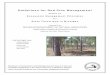Guidelines for Red Pine Management - michigan.gov · Guidelines for Red Pine Management based on Ecosystem Management Principles for State Forestland in Michigan Prepared by the 