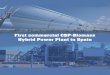 First commercial CSP-Biomass Hybrid Power Plant in Spain · First commercial CSP-Biomass Hybrid Power Plant in Spain About the project The Borges termosolar plant, first commercial