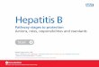 Hepatitis B - assets.publishing.service.gov.uk · Hepatitis B the safest way to protect the health of you and your baby Pathway stages to protection Actions, ... care plan with woman