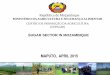 MAPUTO, APRIL 2015 · 2015-05-19 · maputo, april 2015 república de moçambique ministÉrio da agricultura e seguranÇa alimentar centro de promoÇÃo da agricultura (cepagri) …