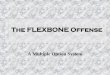 The FLEXBONE Offense · Why the Flexbone Option? Why the FLEXBONE? Uses the whole field Scout Team Nightmare Defense should balance Offense looks balanced