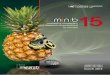 MARKETING-SALES INTERFACEminib.pl/.../02/MINIB_Avlonitios_Lionakis_Marketing-sales-interface... · most effective marketing-sales interface in terms of smooth relationships and enhanced
