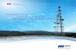 Global Wireless and Broadband Infrastructure Solutions · Airtel, Orange, Liquid Telecom, Nokia, Ericsson, Huawei, ZTE, ATC, and ... commissioning and integration of MW ... • Core