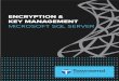 MICROSOFT SQL SERVER - Townsend Security · self-encrypting drives, ssds, etc file system (file/folder/volume) database application network service. page 7 ... microsoft sql server