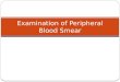 Examination of Peripheral Blood Smearparamed.bpums.ac.ir/UploadedFiles/CourseFiles/Blood_S… · PPT file · Web view2012-12-22 · Peripheral Blood Smear. Objective. 1. Specimen