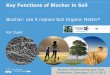 Key Functions of Biochar in Soil - .Key Functions of Biochar in Soil Biochar: can it replace Soil