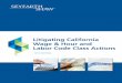 2ND EDITION Litigating California Wage & Hour and Labor ... · 2ND EDITION Litigating California Wage & Hour and ... The Future of Tip-pooling Cases Under California Law ... authorized