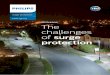 Whitepaper The challenges of surge protection · designer are available (according to IEC62305 part 4 & part 2 on risk management). For example, vulnerability, or risk of exposure
