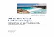 Oil in the Great Australian Bight - The Australia Institute - Drilling the Great... · Oil in the Great Australian Bight Submission to Senate Standing Committee on Environment and