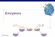 Enzymes - Mrs. Monarch's Classroommrsmonarchatwest.weebly.com/uploads/8/2/6/9/8269238/enzymes.pdf · Enzymes named for reaction they catalyze ... substrate becomes limiting factor