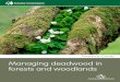Managing deadwood in forests and woodlands - Forestry …FILE/FCPG... · 2014-09-24 · Managing deadwood in forests and woodlands. ... soil fertility and energy flows such as hydrological