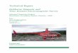 Heliborne Magnetic and Time-Domain … Report Heliborne Magnetic and Time-Domain Electromagnetic Survey Advantel Dominica Project Beardmore-Geraldton district, Ontario - 2008 ... PROSPECTAIR