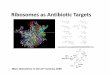 Ribosomes as Antibiotic Targets - Home | Lehigh …inbios21/PDF/Fall2009/Ware...How do bacteria acquire resistance? Bacteria acquire genes that encode proteins that shield or protect