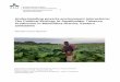 Understanding poverty-environment interactions: … poverty-environment interactions: The Political Ecology of Smallholder ... Swedish University of Agricultural Sciences, ... in Marondera