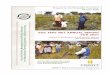 SOIL FERT NET ANNUAL REPORT FOR 2001 - …libcatalog.cimmyt.org/Download/cim/447934.pdfally, we recruited an agricultural economics r~ ... Chemistry and Soils, DR&SS, Marondera, Zim