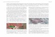 MARS UTAH ROVER FIELD INVESTIGATION 2016 … UTAH ROVER FIELD INVESTIGATION 2016 (MURFI 2016): TARGETING, LOCALIZATION, ... of situ boulders, blue lines = modern alluvial, 