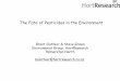 The Fate of Pesticides in the Environment - اروم نهال anjam somom.pdf · The Fate of Pesticides in the Environment ... affected by pesticide chemistry. ... A “Sustainable