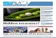 Focus Hidden treasures? - Asian Venture Capital Journal · 2013-09-17 · Hidden treasures? Niche funds on the ... Motilal Oswal PE targets India growth in Fund II Page 12 FuNDs 