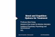Mood and Cognition: Options for Treatment€¦ · Mood and Cognition: Options for Treatment Professor Allan Young Director of the Centre for Affective Disorders Institute of Psychiatry,