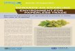 Electronic traceability of agricultural products in India: … · Electronic traceability of agricultural products in India: the case of GrapeNet A gricultural trade is a pillar for