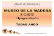 MUSEO DE LA MADERA · TADAO ANDO Nacido en Osaka Japón 1.941 “Cuando vi la luz proveniente del óculo del Panteón en Roma, supe que quería ser arquitecto”