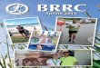BRRC - Brisbane Road Runners Club€¦ · BRRC MAGAZINE PAGE 2 Welcome to the Spring edition of the BRRC Magazine! The running season is in full swing and over the last few months