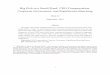 Big Fish in a Small Pond: CEO Compensation, Corporate ... · PDF fileBig Fish in a Small Pond: CEO Compensation, Corporate Governance, and Equilibrium Matching Zhan Li September, 2016