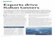 italy Exports Drive Italian Tanners - Gruppo Dani · Exports drive Italian tanners D ... are Italian companies with a US$5.3 billion turnover and 9% of ... Figure 2. Italian leather