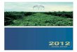 Annual Report Sipef 2012 · Compensation procedures start ... Investments in the oil palm and rubber plantations in ... see to it that all employees are able to work in a healthy
