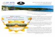 Westnuk Beach Resort · Rellenong Bangus Fresh Green Salad Dessert / Soup Steam Rice Beef Morcon Grilled Pusit Buttered Vegetables Dessert / Soup Steam Rice SET B Chicken Pork Adobo