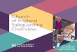 Church of England Safeguarding Overview · Church of England Safeguarding Overview Click the icon to ... I am working closely with the National Safeguarding Team preparing new policy