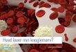 Hvad laver min knoglemarv? - MDS Foundation | MDS is a ... · Eusinofil Blodplader Lymfocyt Neutrofil Lymfoide stamcelle Erytrocyt Pluripotent stamcelle Myeloide stamcelle. 10 Størstedelen