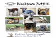 Did we have enough rain in March - bktc.org.au · Official publication of the Blacktown Kennel &Training Club Inc. : Affiliated with Dogs NSW April 2017 Did we have enough rain in