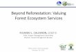 Beyond Reforestation: Valuing Forest Ecosystem Services · CONTENTS 2 I. Introduction A. State of Philippine Forests B. Policy Directions of the Forest Management Bureau II. Greening