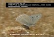 RECOVERY PLAN FOR THE ANDALUSIAN ANOMALOUS BLUE · Species Recovery Plan for the Andalusian Anomalous Blue ... species in the form of scientific ... or Velludita Parda Bética (Spanish)