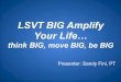 LSVT BIG Amplify Your Life… - c.ymcdn.com · –may enhance many levels of movement, ... Triggers Activation across motor systems ... Reports functional impact outside treatment