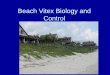 Beach Vitex Biology and Control - SE-EPPC · Beach Vitex Biology and Control . Beach Vitex ... US Geological Survey. ... reestablishment Native vegetation •Survey and