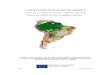 A VEGETATION MAP OF SOUTH AMERICA - Ministerio do … · A VEGETATION MAP OF SOUTH AMERICA ... by VEGA 2000, an initiative co ... Head of the Global Vegetation Monitoring Unit December