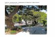 2015 Annual Report FINAL - SF Environment · ... and report on the state of ... Tree Planting, Tree Care, and Tree Removal Activities ... omitted from a table or narrative 