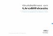 Guidelines on Urolithiasis - Uroweburoweb.org/wp-content/uploads/22-Urolithiasis_LR.pdf · Guidelines on Urolithiasis ... 6.4.1 Stones in renal pelvis or upper/middle calices 46 6.4.2