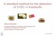 A standard method for the detection of STEC in foodstuffsold.iss.it/binary/vtec/cont/Morabito.1233661242.pdf · Stefano Morabito(CRL VTEC) was asked to send the draft method to the
