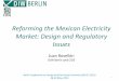 Reforming the Mexican Electricity Market: Design and ... · Reforming the Mexican Electricity Market: Design and Regulatory Issues Juan Rosellón DIW Berlin and CIDE 1 Berlin Conference