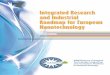 Integrated Research and Industrial Roadmap for … july... · NANOfutures, European Technology Integrating and Innovation Platform on Nanotechnology Integrated Research and Industrial