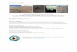 Restoring Sage-Grouse Habitat after Fire: Success of ... · JSFP 13-1-16-1 Final Report 1 Restoring Sage-Grouse Habitat after Fire: Success of Different Restoration Methods across
