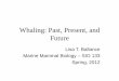 Whaling: Past, Present, and -    Whaling: Past, Present, and Future Lisa T. Ballance Marine