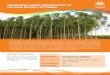Eucalyptus based Agroforestry in Koraput District of ... _Eucalyptus... · Eucalyptus based Agroforestry in Koraput District of Odisha NABARD ... the co-operative was encouraged to