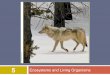 Ecosystems and Living Organisms - Denver School of the .2017-10-20  5 Ecosystems and Living Organisms